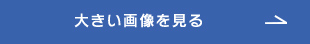 大きい画像を見る