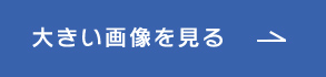 大きい画像を見る